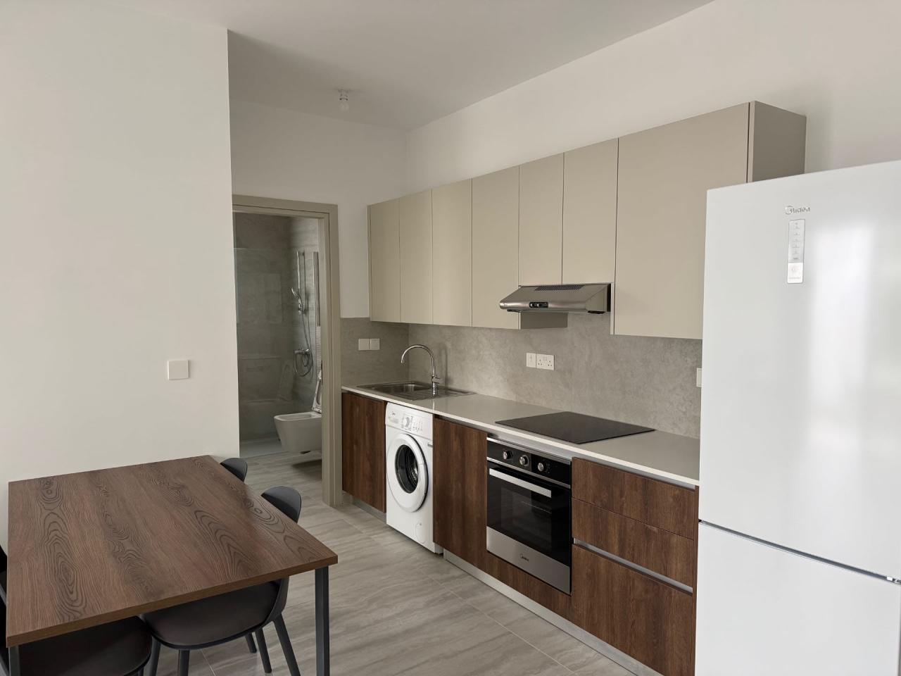 GRIGORIOU Apartment in Λευκωσία 5