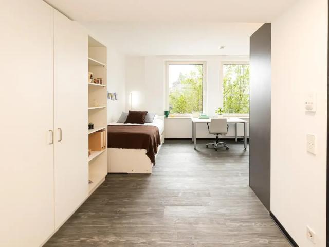 Studio L Bronze