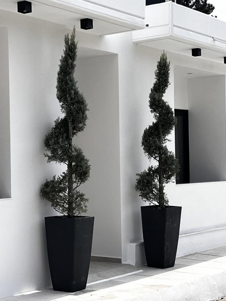 Studio in Patra 4