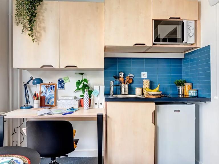 T1 Apartment in Paris 4