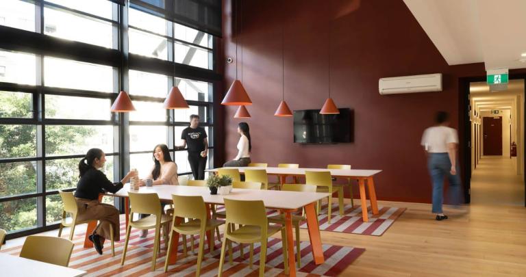 Standard Studio Apartment in Chippendale 5