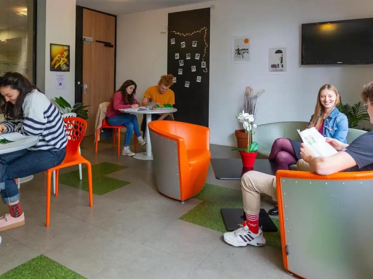 Basic Studio in Talence 3