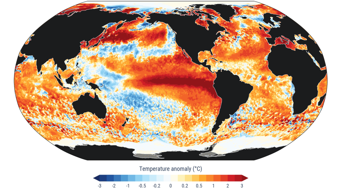 Earth's Oceans Hit Hottest Temperature on Record