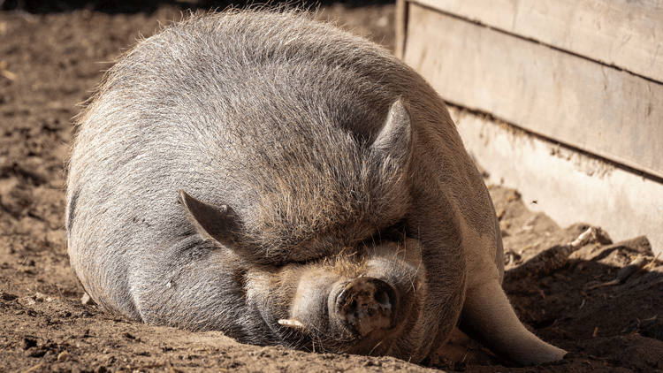 medium_Blogok_14_1518e7d467.png