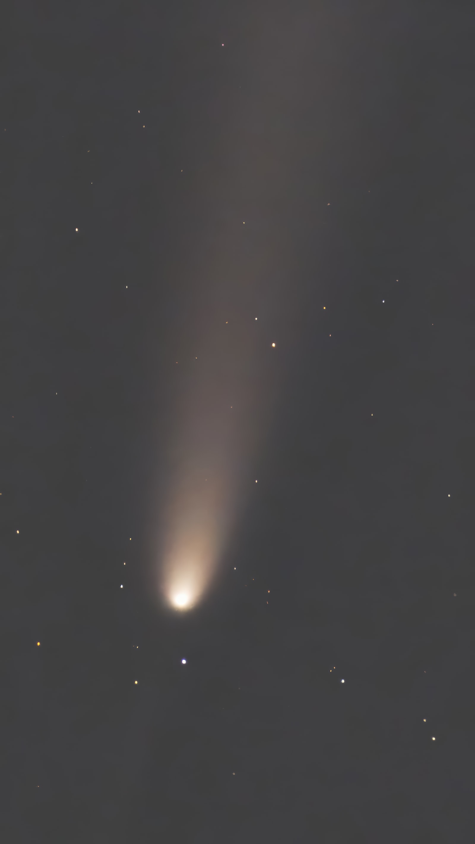 Comet ATLAS: a bright head low in the frame and a long pale tail rising through a grey sky