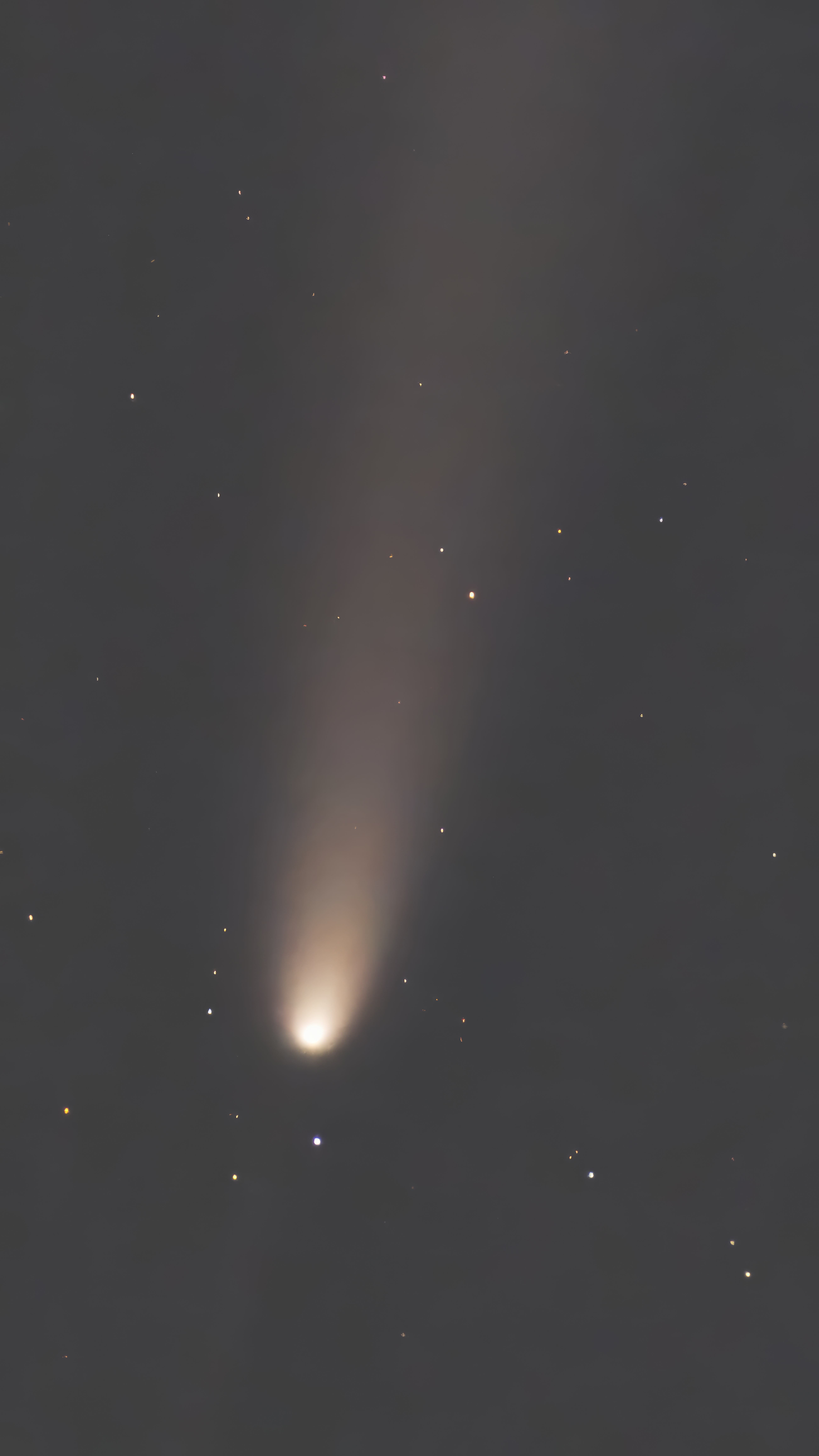 Comet Atlas C/2024 from Guyana showing green coma and dust tail against star field Caribbean astrophotography