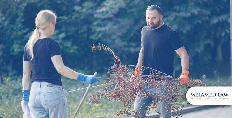 Section 5: Prepare the Yard to Minimize Debris Impact