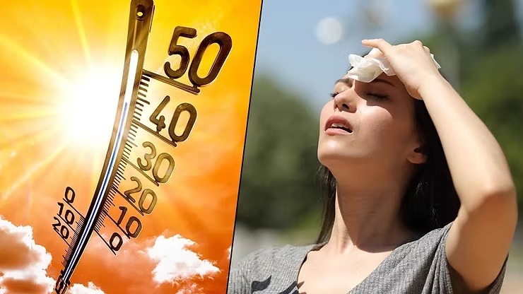 Heatwaves in India: A Warning Sign for Our Present and Our Future illustration
