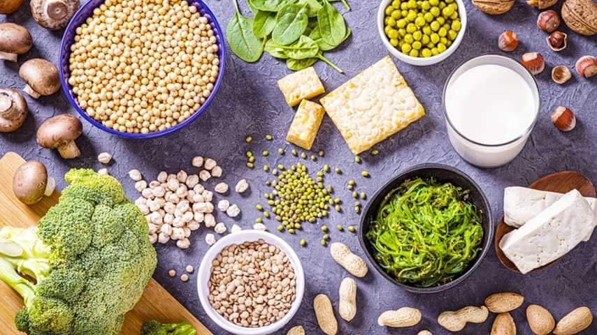 Protein Optimization