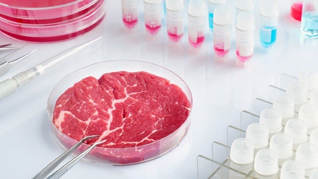 Lab-Grown Protein: Sustainable & Low-Carb