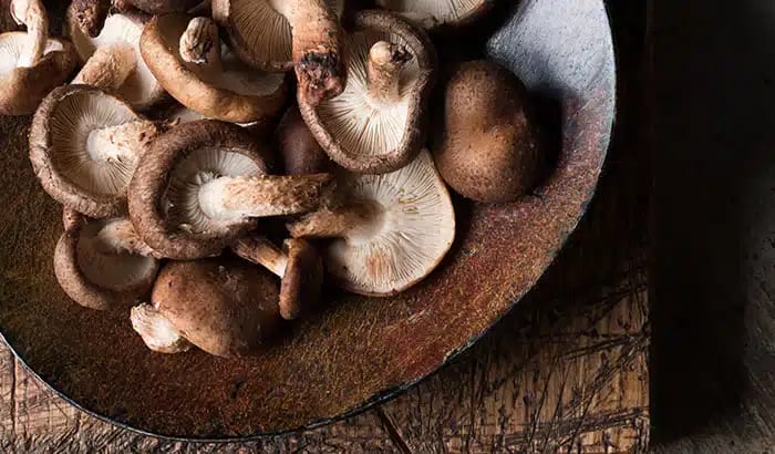 Adaptogenic Sweeteners: Mushroom Syrups for Brain Health