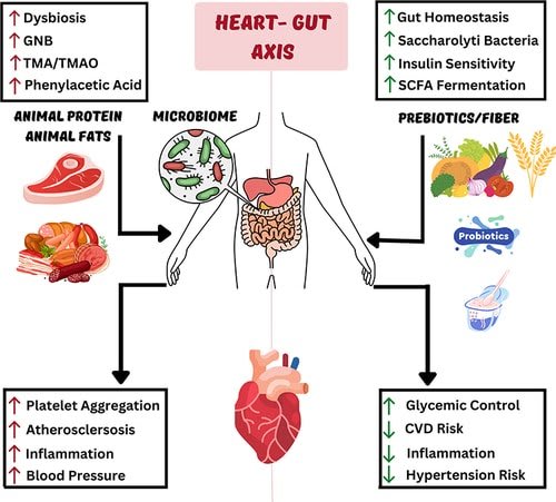 best diet for high blood pressure