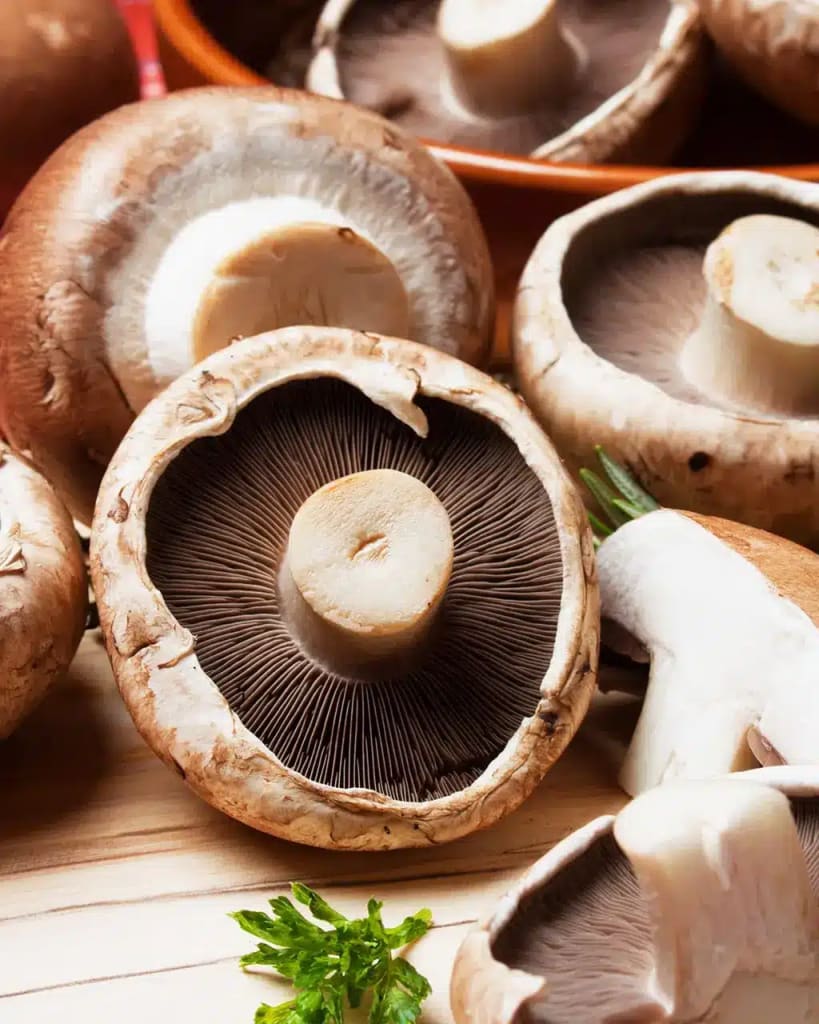 Adaptogenic Sweeteners: Mushroom Syrups for Brain Health