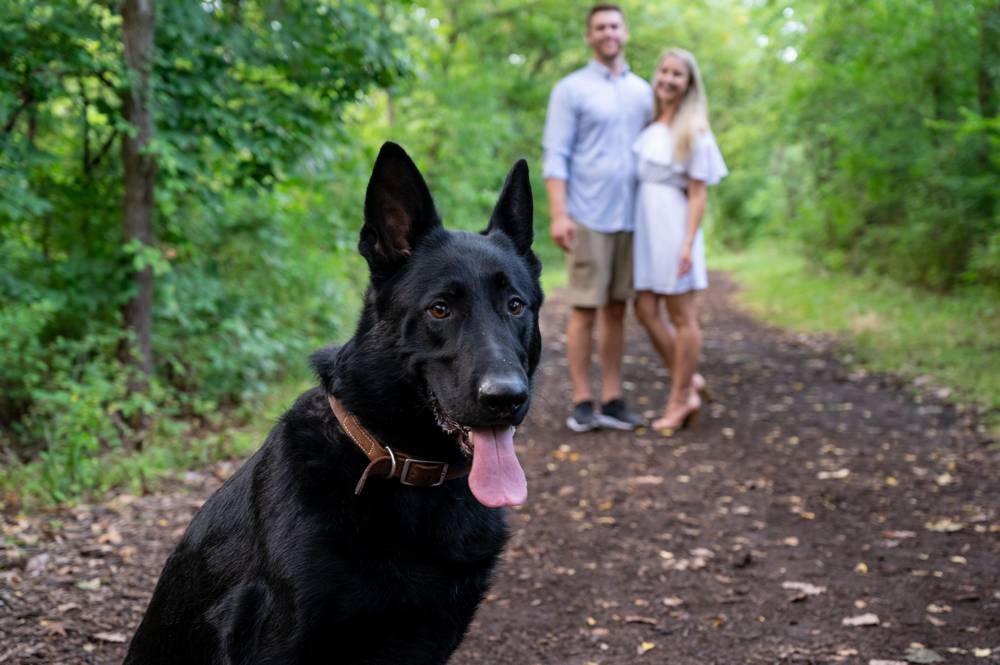dog in front of couple