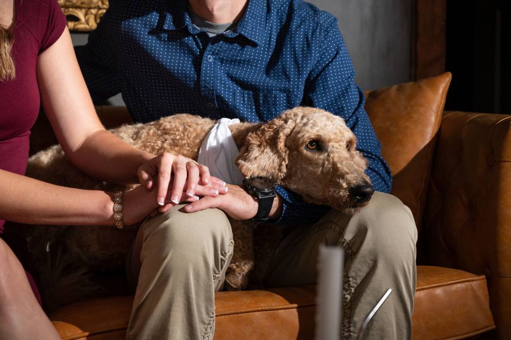 close up of dog at engagement session