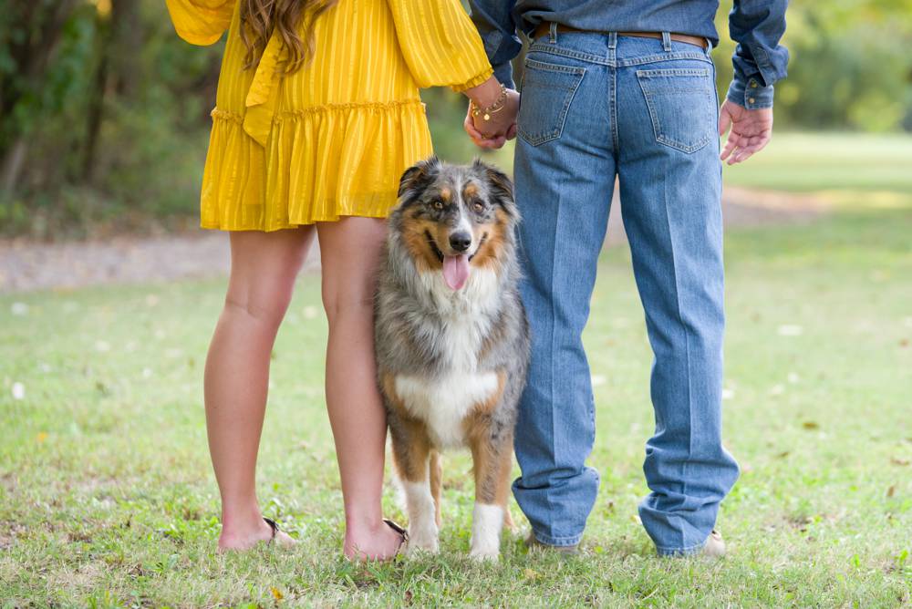 dog standing at feet of couple