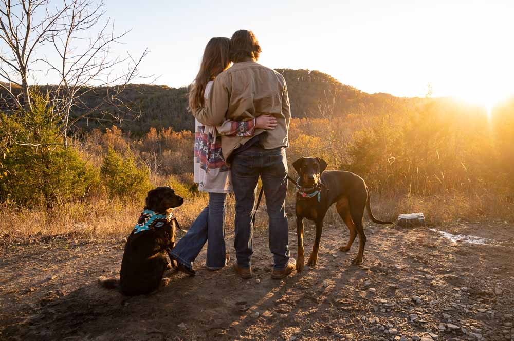 beautiful view with dogs and couple