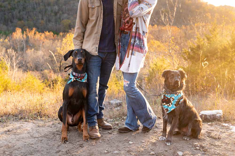 close up of couple's dogs