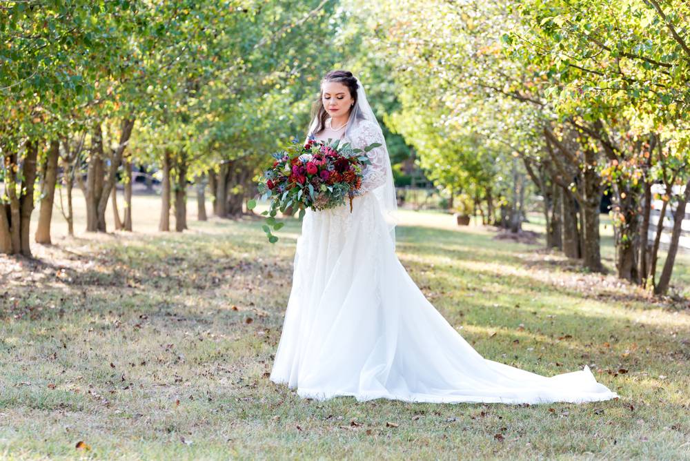bride portrait with trees