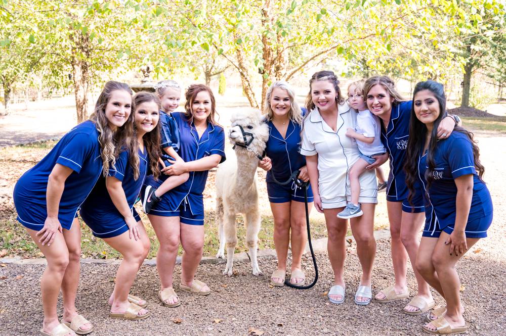 wedding party playing with a llama at a wedding