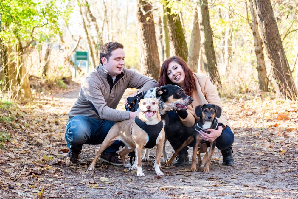 couple with 3 dogs in park
