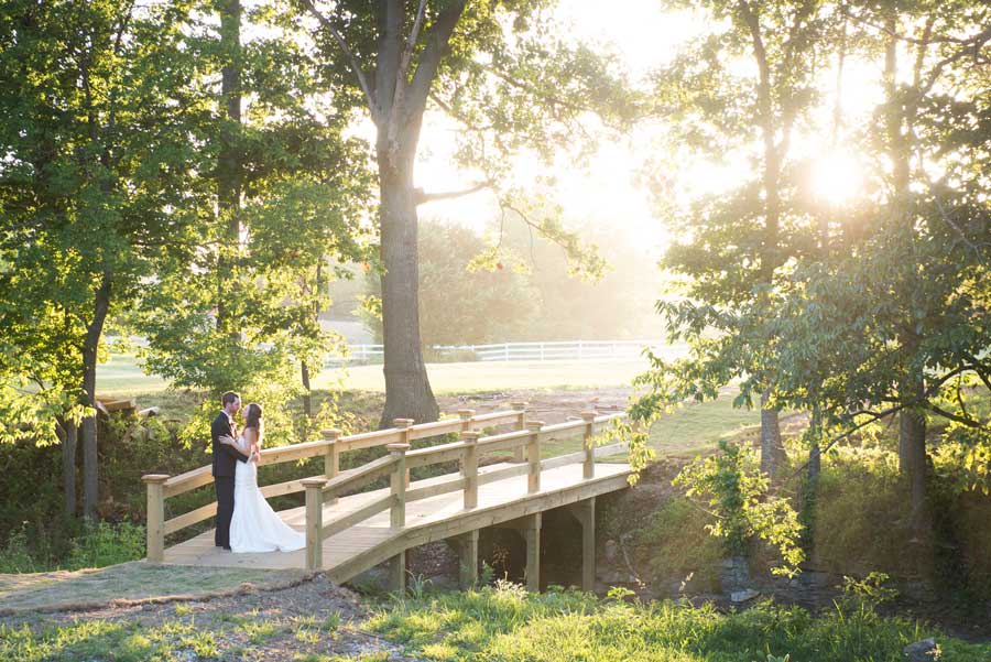 Sassafras Springs Vineyard wedding venue