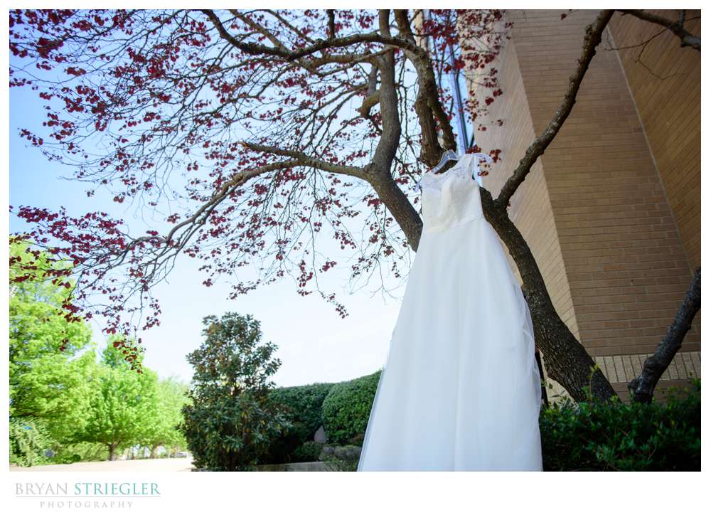 wedding dress hanging in a tree