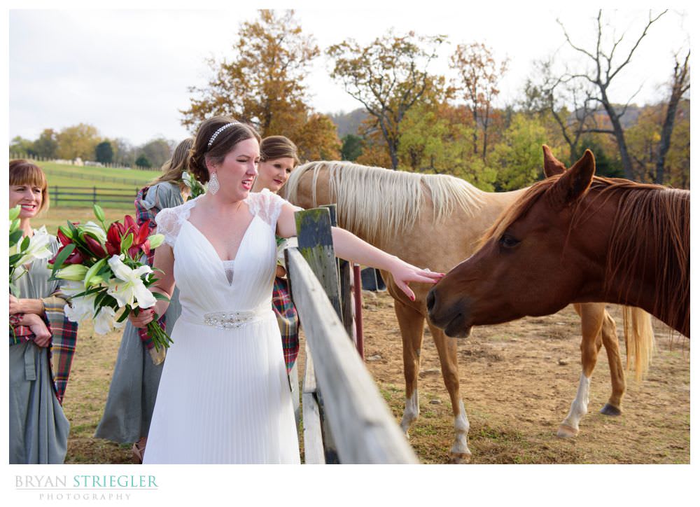 bride petting a horse