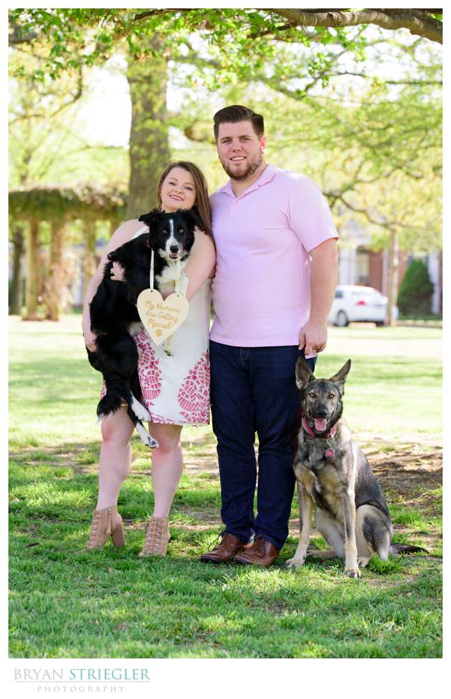 engagement photos with dogs