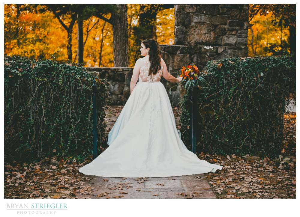 back of bride's dress