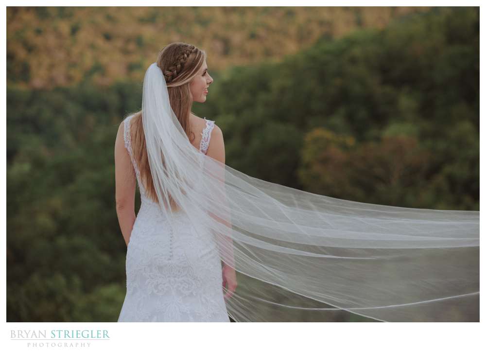 veil being swept in wind