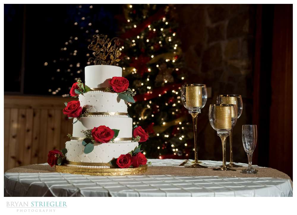 Beauty and the Beast themed cake
