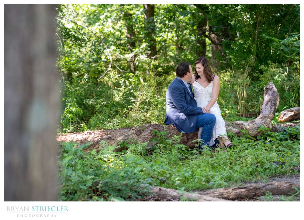 couple sitting on fallen tree