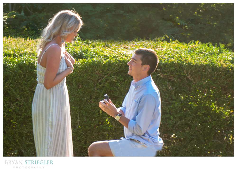 Proposal at Mount Sequoyah