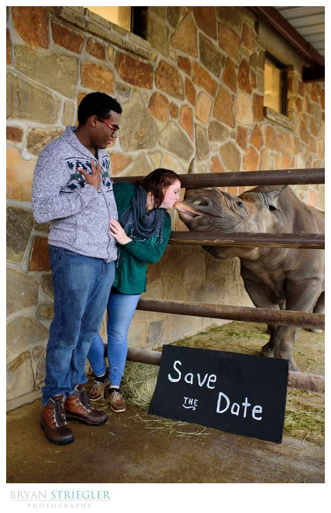 Save the Date photo with a rhino