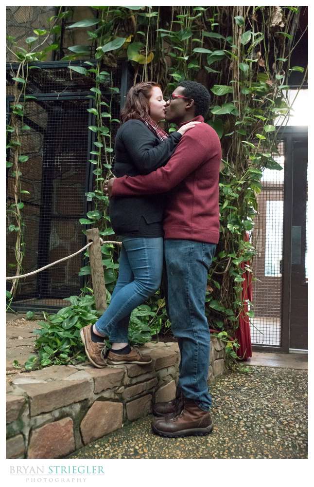 engaged couple at Little Rock Zoo
