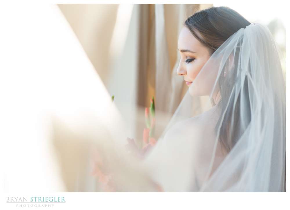 bride covered in veil