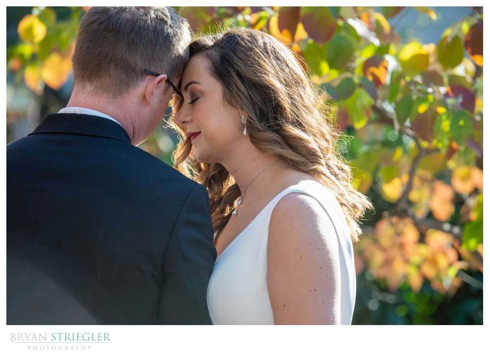 wedding portrait with beautiful leaves