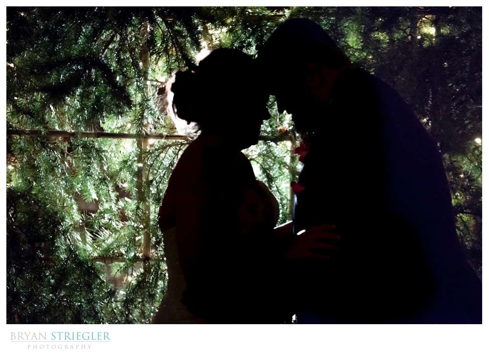 silhouette photo of bride and groom