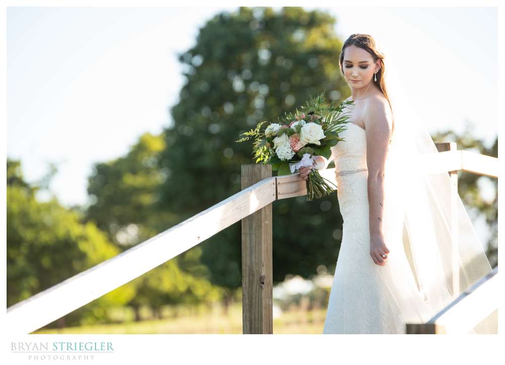 backlit bridge with bride