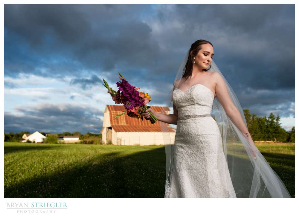 bridal portrait with dark skies