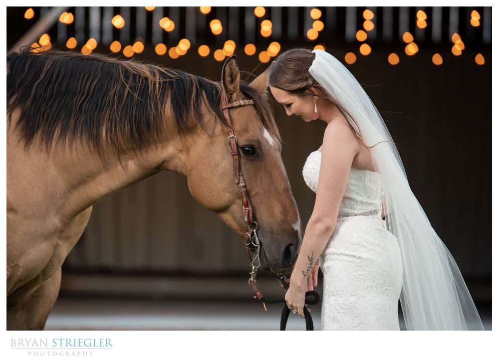 bride with horse