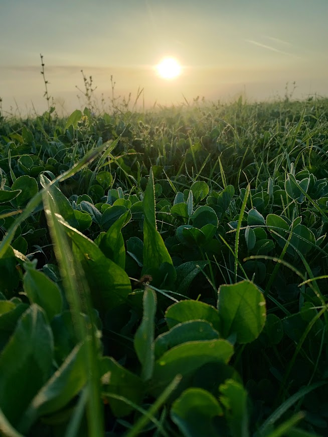 Regenerative agriculture practices