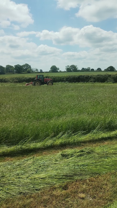 Organic certification inspection