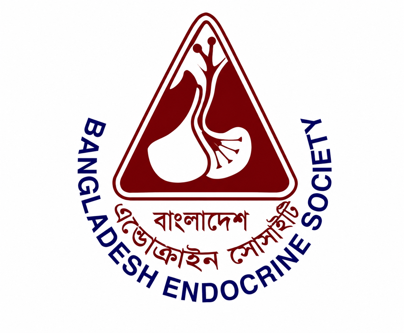 Endocrine Society