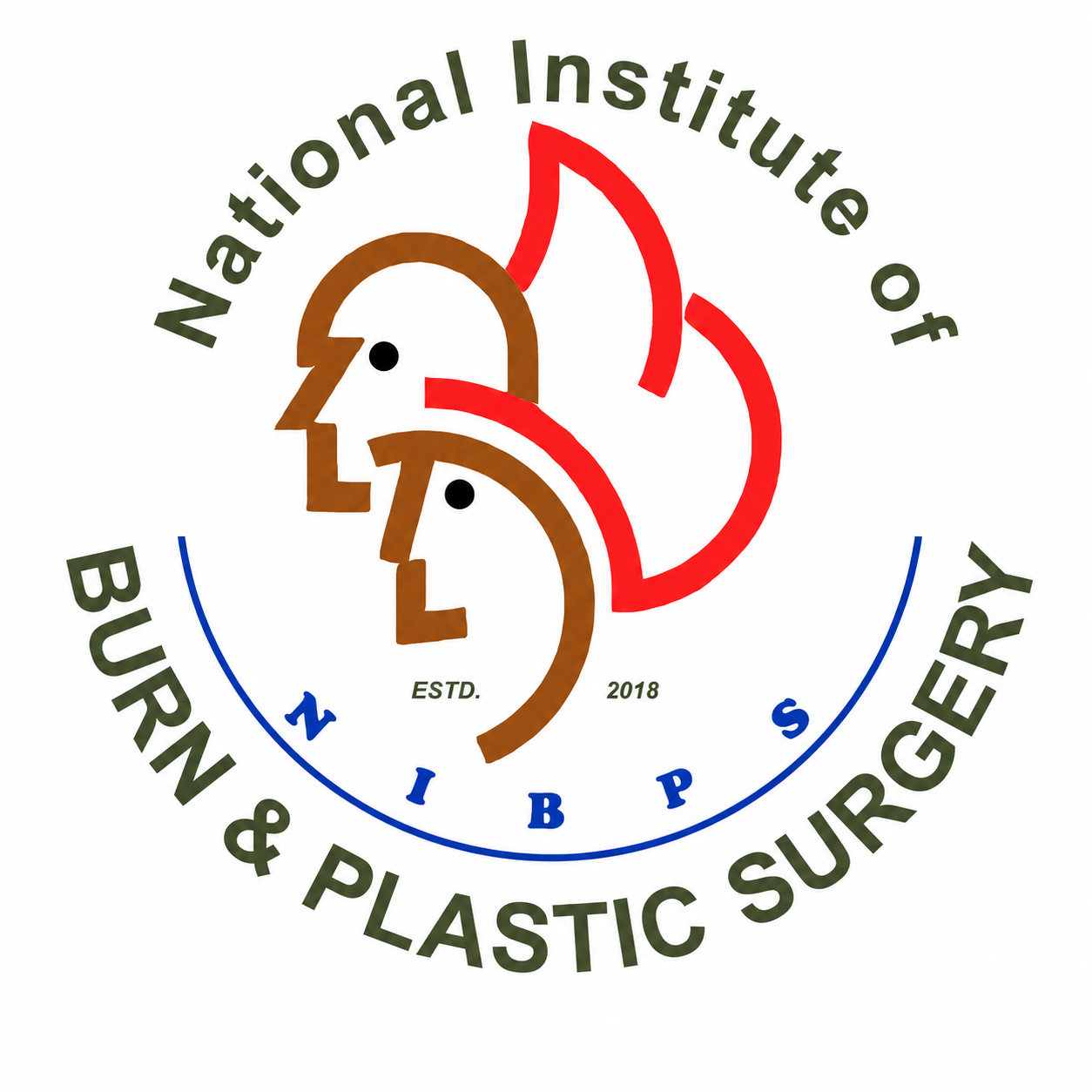 National Institute of Burn & Plastic Surgery