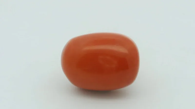 Natural Coral 18.10 cts