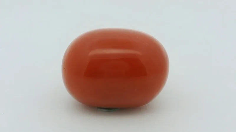 Natural Coral 27.25 cts
