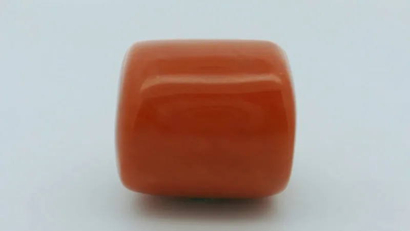 Natural Coral 31.30 cts