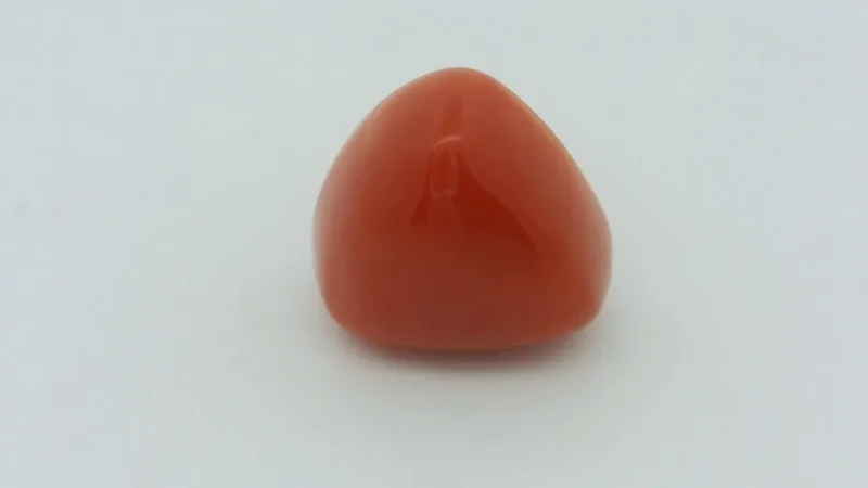 Natural Coral 4.98 cts